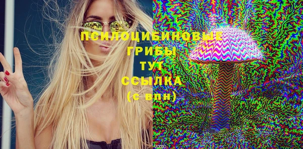 гашик Абинск