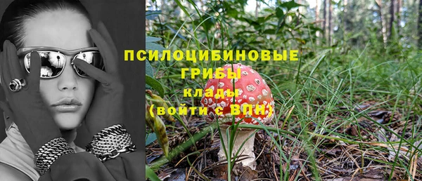 прущие грибы Алексин