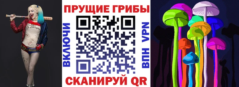 Псилоцибиновые грибы Cubensis  купить  цена  мега маркетплейс  Тарко-Сале 